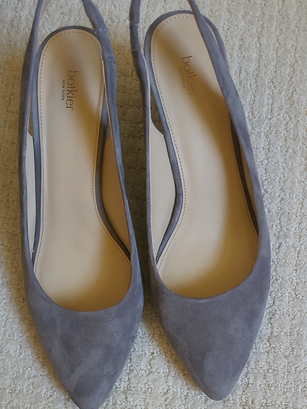Botkier Shayla Pointed Toe Suede Slingback Pumps